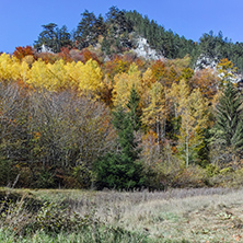 Panoramic Autumn view of Buynovsko gorge, Rhodope Mountains, Bulgaria