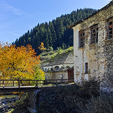 19th century Church of the Assumption, river and Autumn tree in town of Shiroka Laka, Smolyan Region, Bulgaria