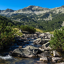 Amazing landscape of Mountain river, Pirin Mountain, Bulgaria