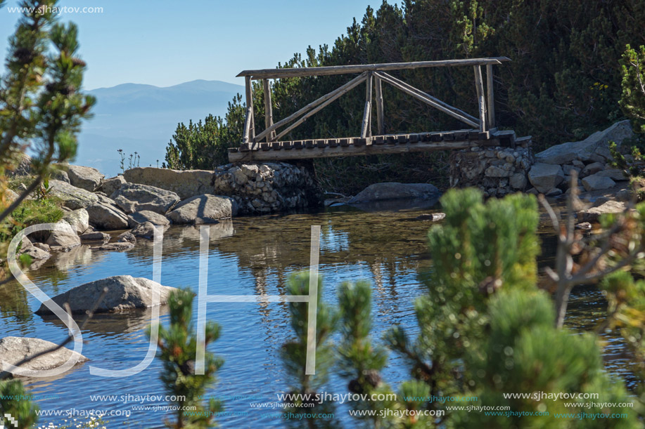 Wooden bridge over Mountain river , Pirin Mountain, Bulgaria