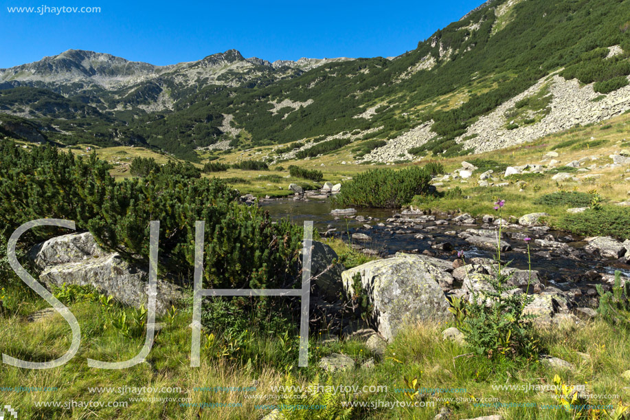 Landscape with clear water of Mountain river, Pirin Mountain, Bulgaria