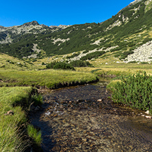 Landscape with clear water of Mountain river, Pirin Mountain, Bulgaria