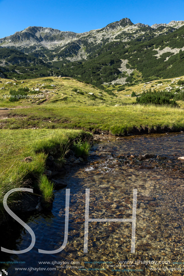 Landscape with clear water of Mountain river, Pirin Mountain, Bulgaria