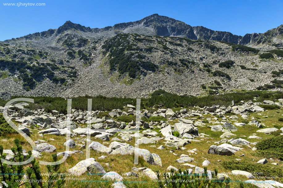Landscape with Banderishki Chukar Peak, Pirin Mountain, Bulgaria