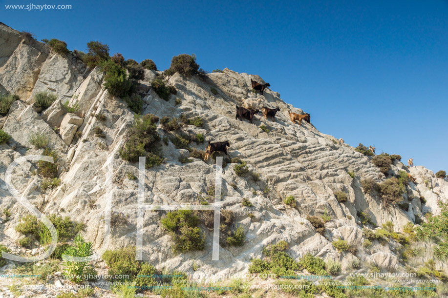 Amazing landscape of Sithonia peninsula, Chalkidiki, Central Macedonia, Greece