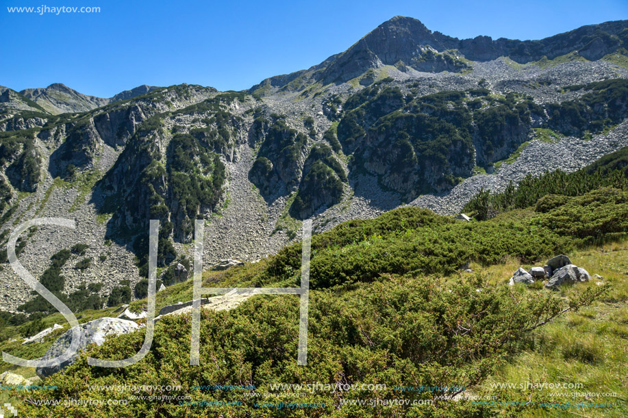 Amazing Summer Landscape with Green hills, Pirin Mountain, Bulgaria