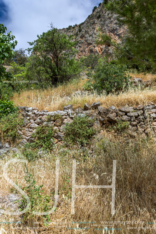 Ruins of Ancient Greek archaeological site of Delphi, Central Greece