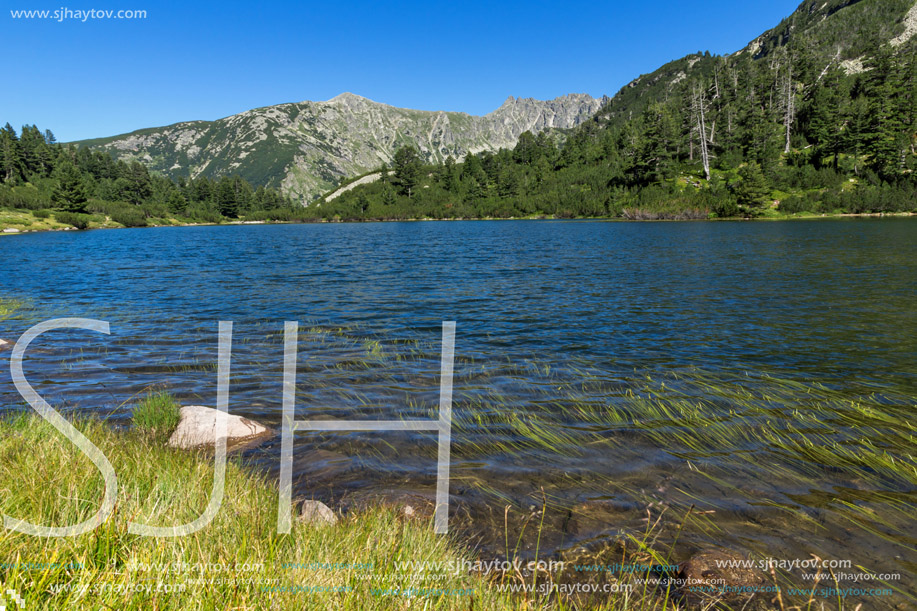 Amazing Landscape with Fish Vasilashko lake, Pirin Mountain, Bulgaria