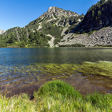 Amazing Landscape with Fish Vasilashko lake, Pirin Mountain, Bulgaria