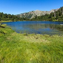 Amazing Landscape with Fish Vasilashko lake, Pirin Mountain, Bulgaria