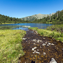 Amazing Landscape with Fish Vasilashko lake, Pirin Mountain, Bulgaria
