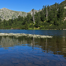 Amazing Landscape with Fish Vasilashko lake, Pirin Mountain, Bulgaria