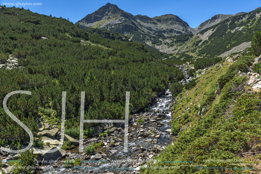 Amazing landscape with Valyavitsa river, Pirin Mountain, Bulgaria