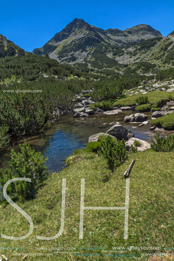 Amazing landscape with Valyavitsa river and Valyavishki chukar peak, Pirin Mountain, Bulgaria