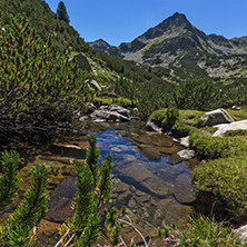 Amazing landscape with Valyavitsa river and Valyavishki chukar peak, Pirin Mountain, Bulgaria