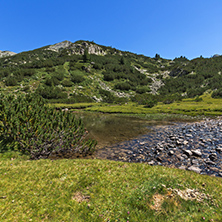 Amazing landscape with Valyavitsa river, Pirin Mountain, Bulgaria