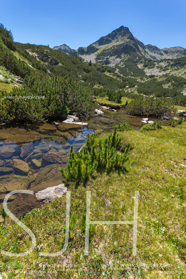 Amazing landscape with Valyavitsa river and Valyavishki chukar peak, Pirin Mountain, Bulgaria