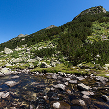 Amazing landscape with Valyavitsa river and Valyavishki chukar peak, Pirin Mountain, Bulgaria
