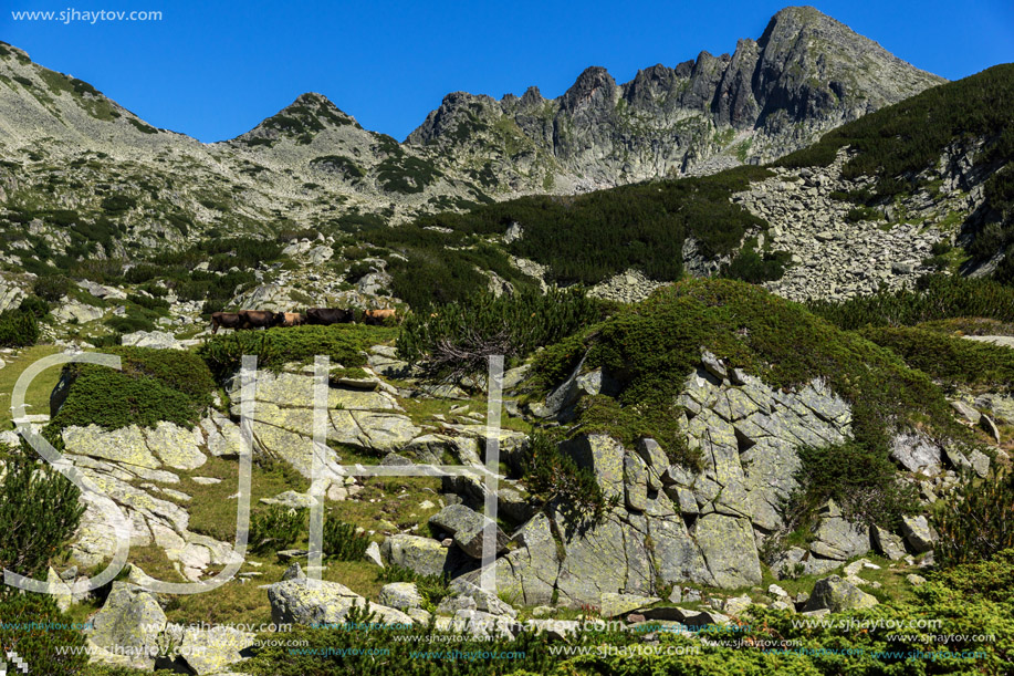 Amazing Panorama with  Valyavishko Lake and Dzhangal peak, Pirin Mountain, Bulgaria