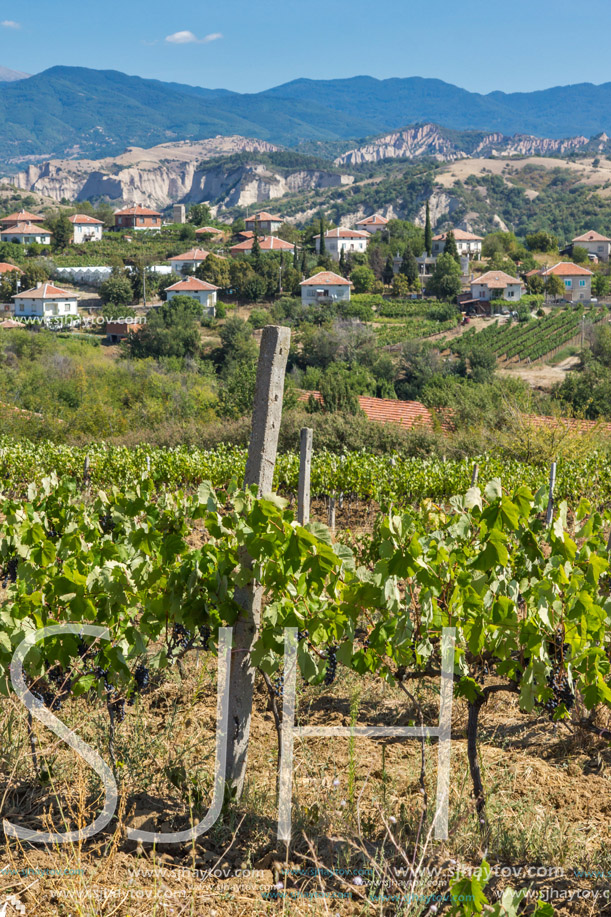Panoramic view of Lozenitsa Village and Vine plantations near Melnik town, Blagoevgrad region, Bulgaria