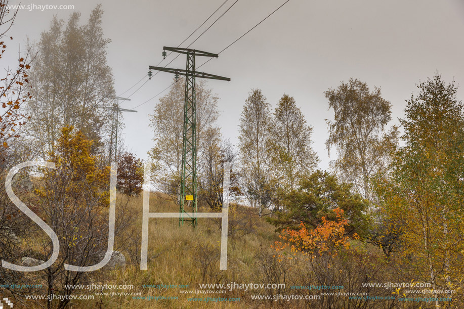 Autumn Landscape with yellow trees, Vitosha Mountain, Sofia City Region, Bulgaria