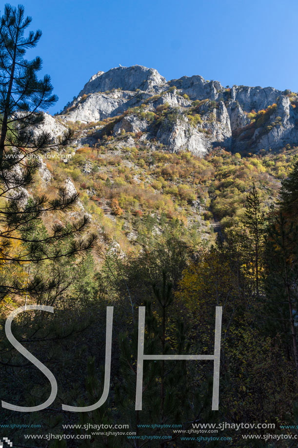 Yellow trees and Autumn view of Buynovsko gorge, Rhodope Mountains, Bulgaria