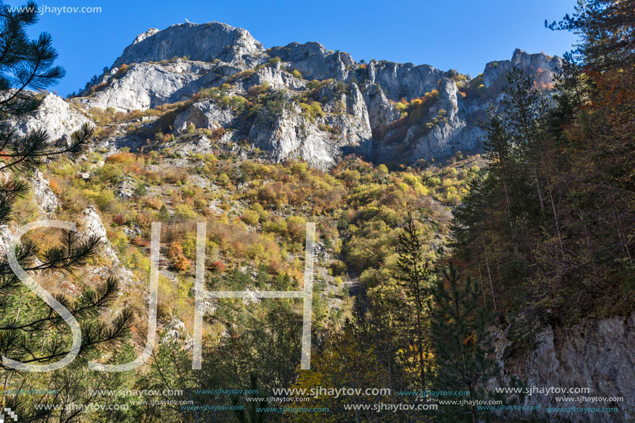 Yellow trees and Autumn view of Buynovsko gorge, Rhodope Mountains, Bulgaria