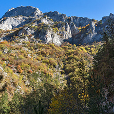 Yellow trees and Autumn view of Buynovsko gorge, Rhodope Mountains, Bulgaria