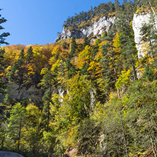 Yellow trees and Autumn view of Buynovsko gorge, Rhodope Mountains, Bulgaria