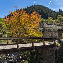 19th century Church of the Assumption, river and Autumn tree in town of Shiroka Laka, Smolyan Region, Bulgaria