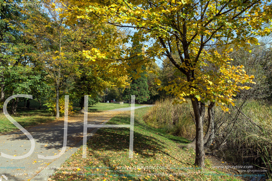 Amazing Autumn landscape with Yellow trees in South Park in city of Sofia, Bulgaria