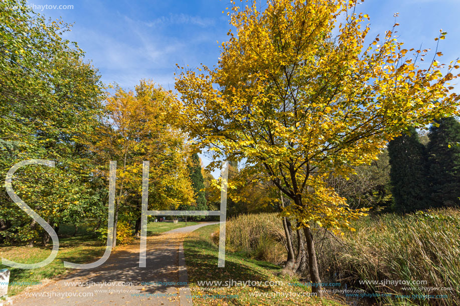 Amazing Autumn landscape with Yellow trees in South Park in city of Sofia, Bulgaria