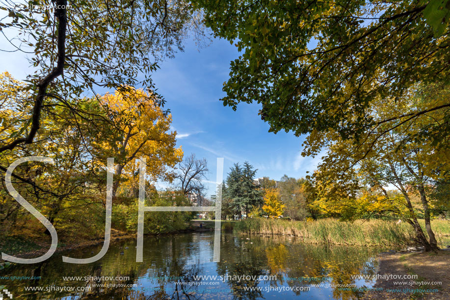 Amazing Autumn landscape with Yellow trees in South Park in city of Sofia, Bulgaria