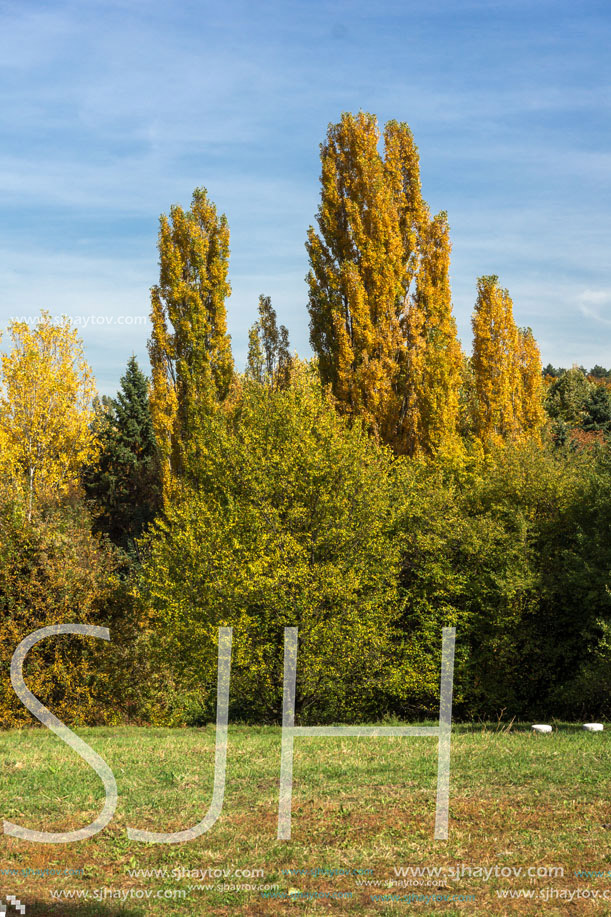 Amazing Autumn landscape with Yellow trees in South Park in city of Sofia, Bulgaria