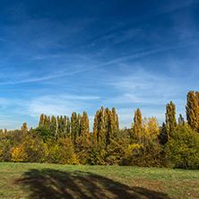 Amazing Autumn landscape with Yellow trees in South Park in city of Sofia, Bulgaria