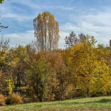 Amazing Autumn landscape with Yellow trees in South Park in city of Sofia, Bulgaria