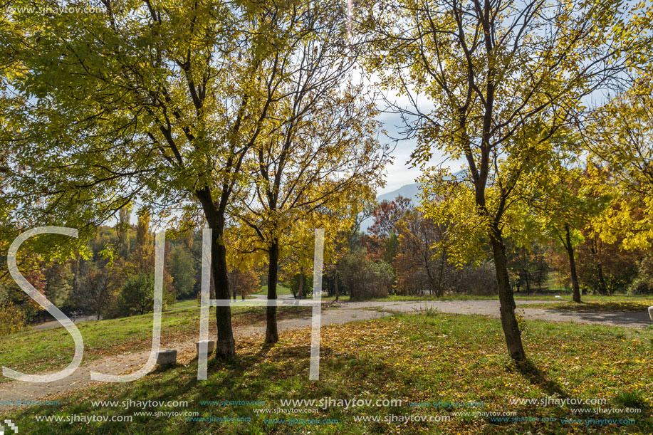 Amazing Autumn landscape with Yellow trees in South Park in city of Sofia, Bulgaria