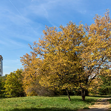 Amazing Autumn landscape with Yellow trees in South Park in city of Sofia, Bulgaria