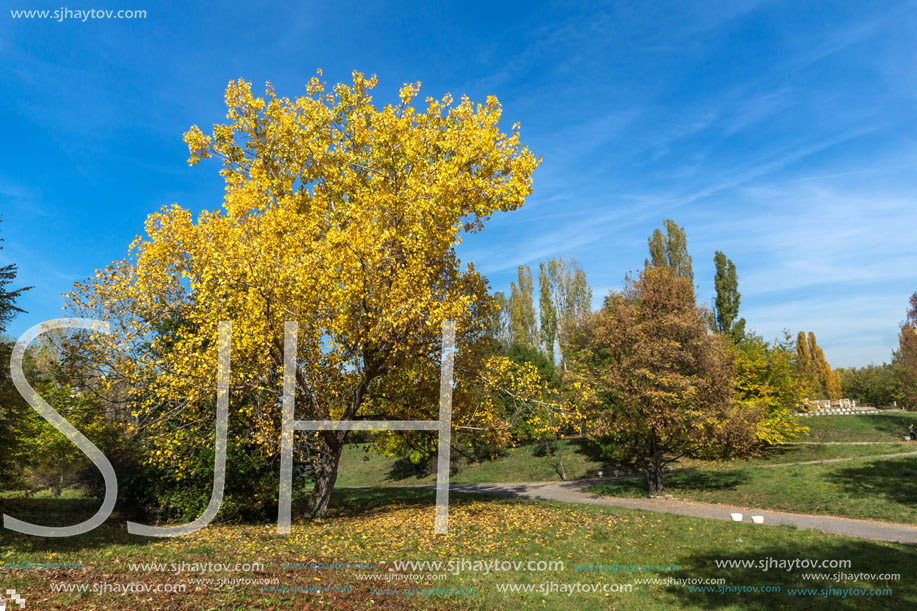 Amazing Autumn landscape with Yellow trees in South Park in city of Sofia, Bulgaria
