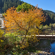 Autumn view of a nineteenth-century church of the Assumption in town of Shiroka Laka, Smolyan Region, Bulgaria