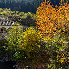 Autumn view of a nineteenth-century church of the Assumption in town of Shiroka Laka, Smolyan Region, Bulgaria