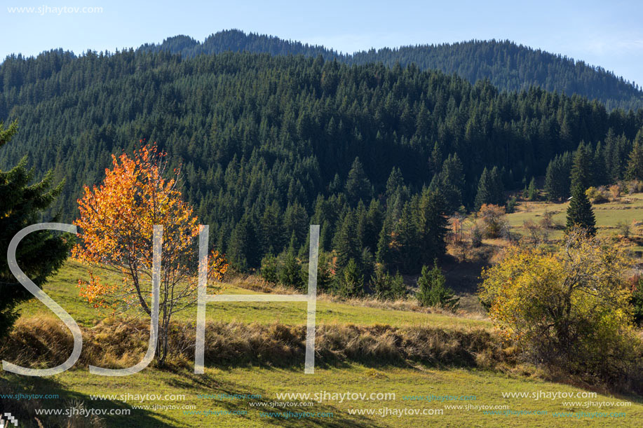 Amazing autumn landscape near village of Gela, Rhodope Mountains, Bulgaria
