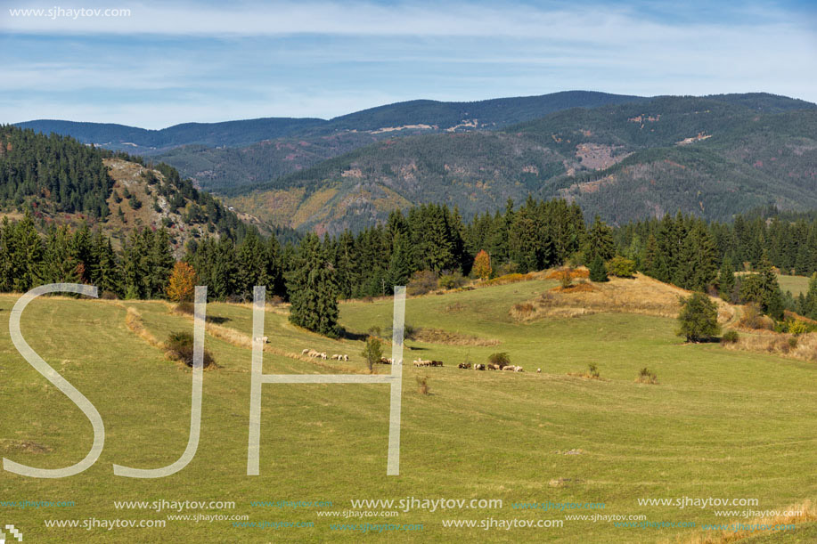 Amazing autumn landscape near village of Gela, Rhodope Mountains, Bulgaria