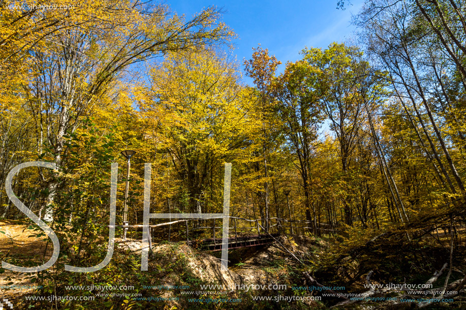 Autumn Landscape with yellow trees near Devil town in Radan Mountain, Serbia