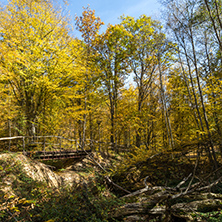 Autumn Landscape with yellow trees near Devil town in Radan Mountain, Serbia