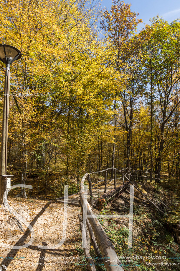 Autumn Landscape with yellow trees near Devil town in Radan Mountain, Serbia