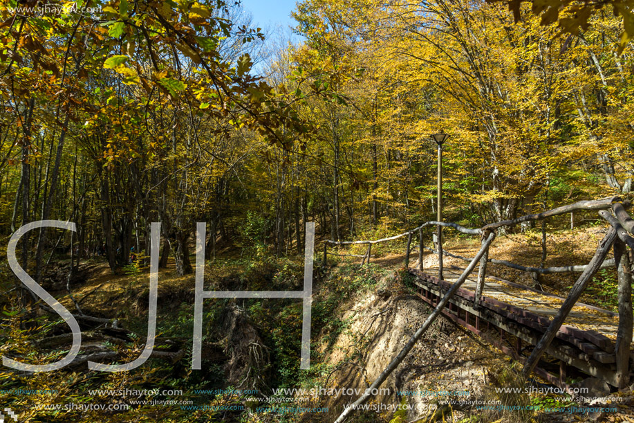 Autumn Landscape with yellow trees near Devil town in Radan Mountain, Serbia