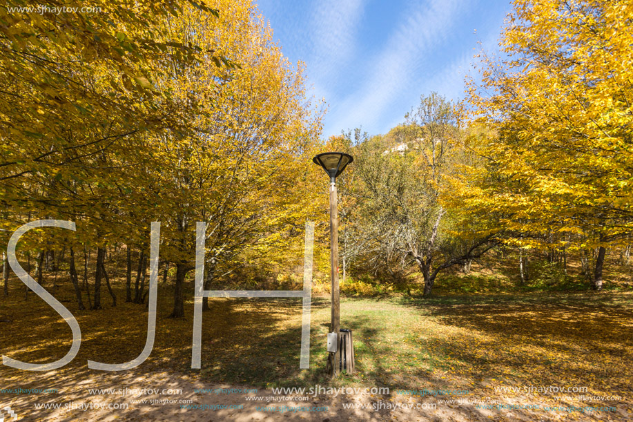 Autumn Landscape with yellow trees near Devil town in Radan Mountain, Serbia