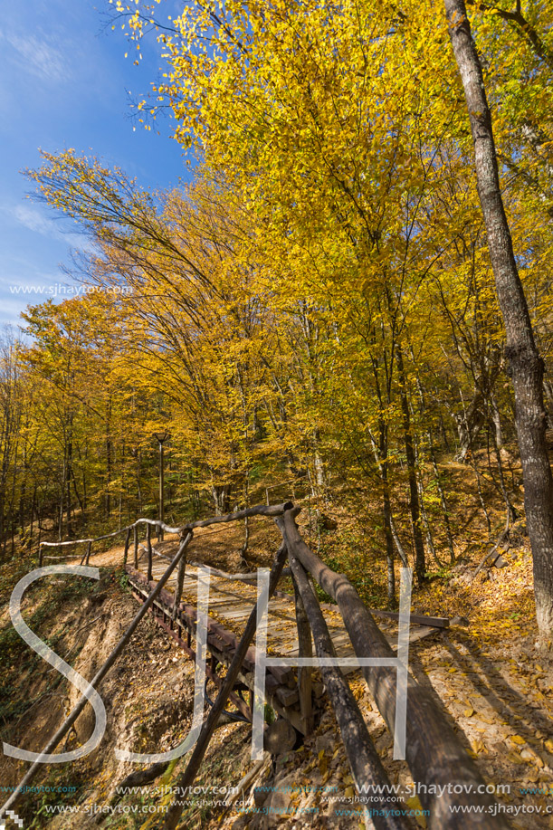 Autumn Landscape with yellow trees near Devil town in Radan Mountain, Serbia