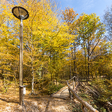 Autumn Landscape with yellow trees near Devil town in Radan Mountain, Serbia